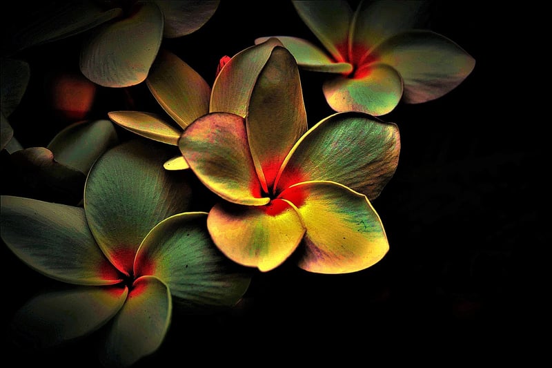 Aesthetic Color Scheme 2